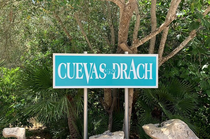 Drach Caves and Pearl Shop Mallorca Half Day Tour - The bus ride reality: air-conditioning, multilingual guiding, and restroom reality