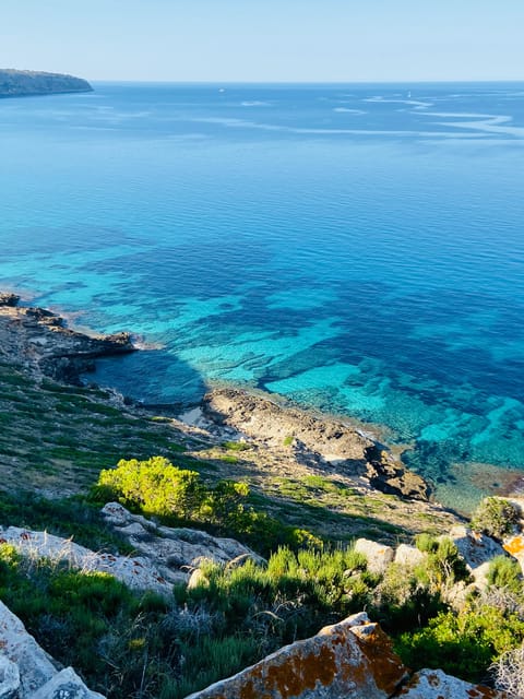 El Arenal: Private Mallorca Boat Rental (No License Needed) - Platja de Palma and the return to Club Nautic Arenal