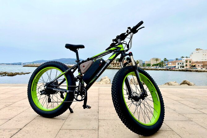 Exclusive Fat Tire E-Bike Tour in Palma - Cathedral of Light and Palau de l’Almudaina: where the tour really lands