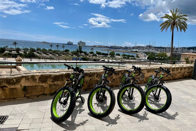 Exclusive Fat Tire E-Bike Tour in Palma - Pace, safety, and group size when streets get crowded