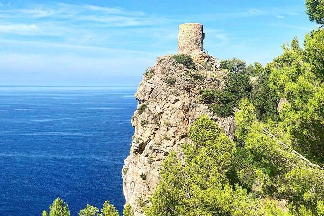 Explore Mallorca in Your Own Formula One Car - Stop 4: Port d’Andratx If Traffic Allows
