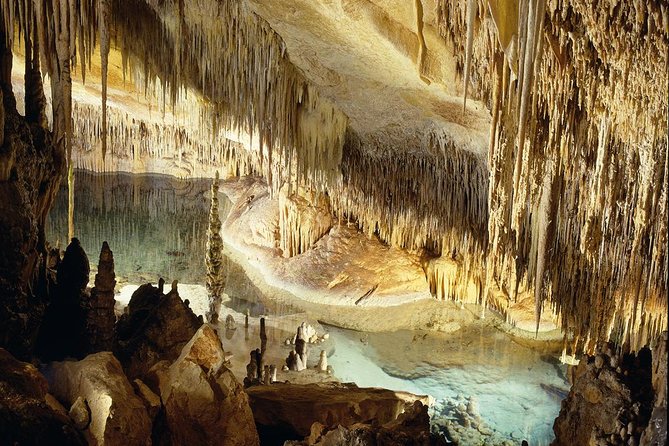 Explore Mallorca: Majorica Pearl Shop and Caves of Drach - Price and what you’re actually paying for ($67.21)