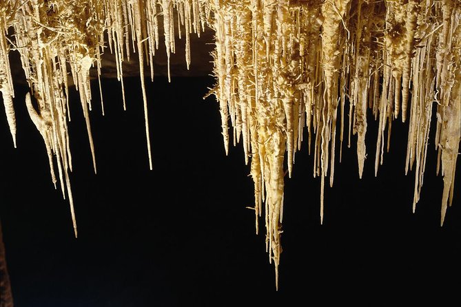 Explore Mallorca: Majorica Pearl Shop and Caves of Drach - Full-day option: Porto Cristo adds a second taste of Mallorca