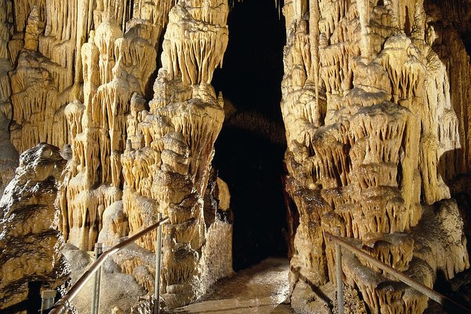 Explore Mallorca: Majorica Pearl Shop and Caves of Drach - Logistics that can make or break your experience