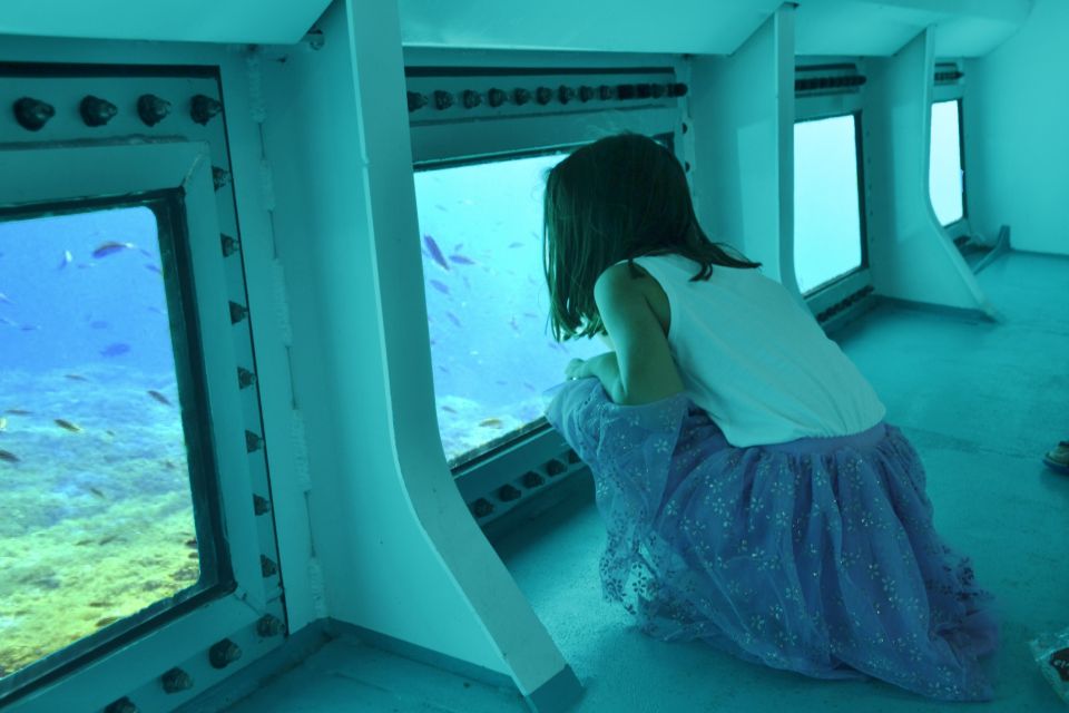 Font de Sa Cala: East Coast Glass-Bottomed Catamaran Tour - From Font de Sa Cala: Why this catamaran day feels like a coast-hugger