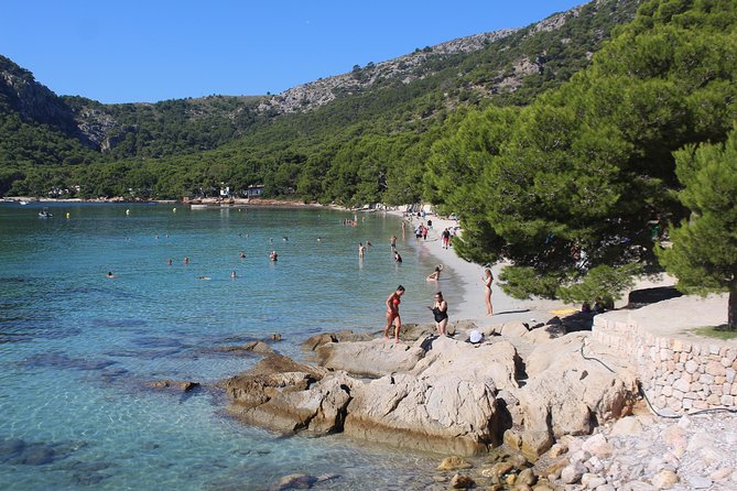 Formentor with boat trip + local market - Key reasons this tour works well
