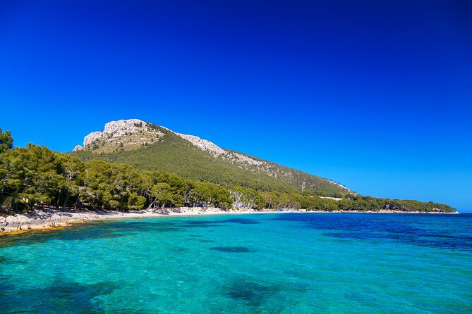 Formentor with boat trip + local market - Mallorca’s north in one day: where this tour shines