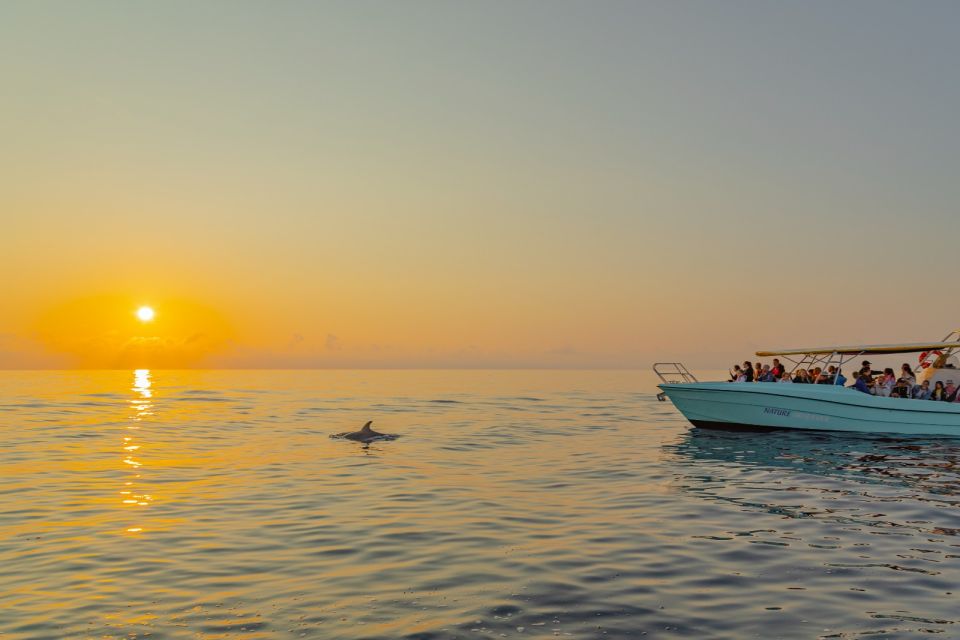 From Alcudia: Sunrise Dolphin Watching Boat Tour - Sunrise Views and Photography Tips From the Water