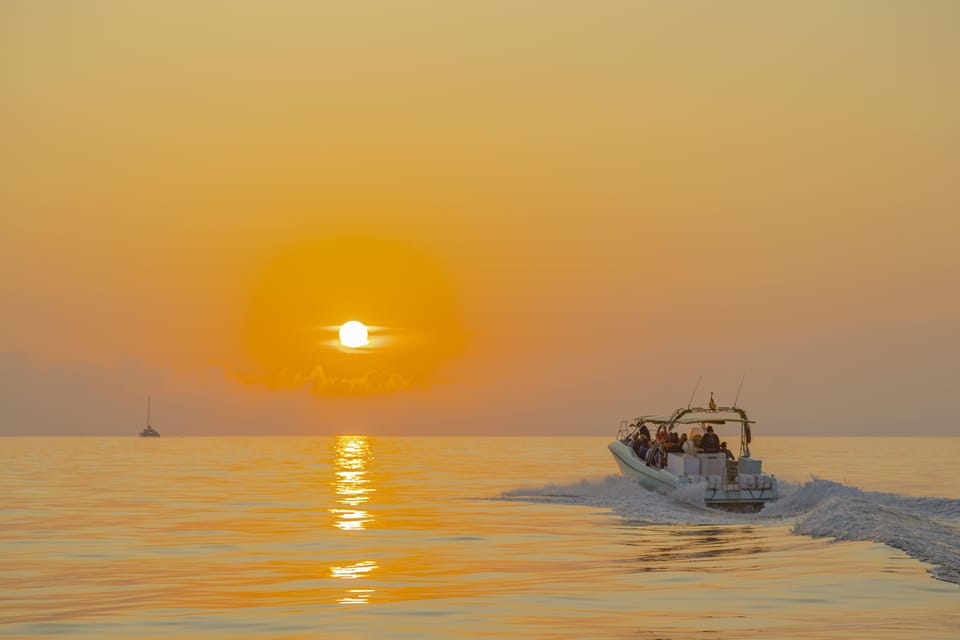 From Alcudia: Sunrise Dolphin Watching Boat Tour - Who This Tour Suits (and Who Should Think Twice)