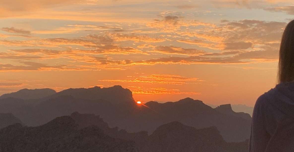 From Alcudia: Sunset Formentor Tour with Cava - Why the guide matters more than you think (and names you might hear)