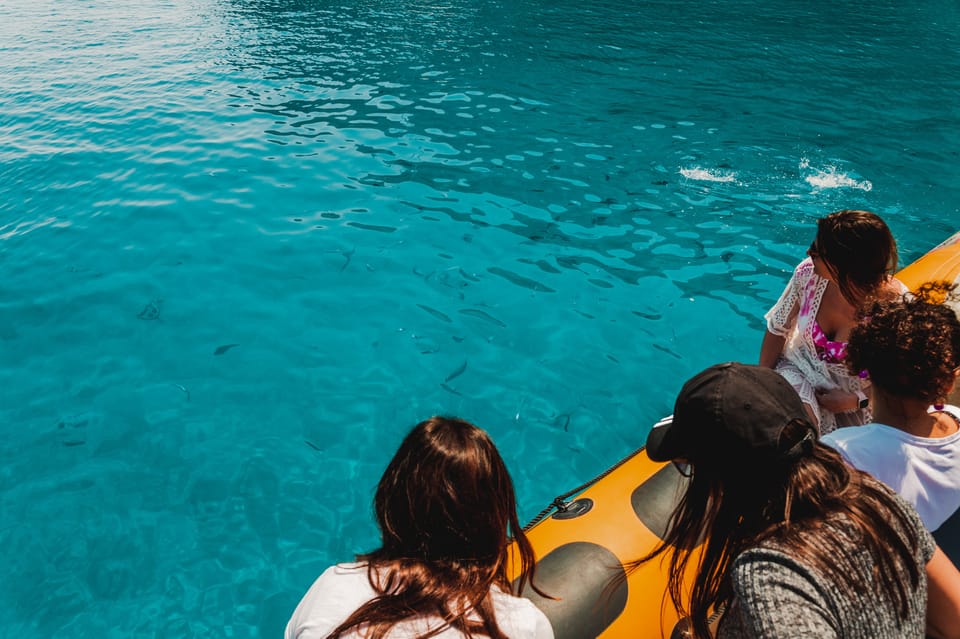 From Can Picafort: Dolphin Watching and Cave Boat Trip - How dolphin watching actually works on a 12-person boat