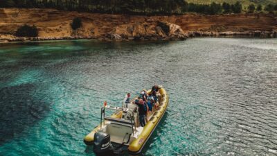 From Can Picafort: Dolphin Watching and Cave Boat Trip - Out to the north coast and Cabo de Formentor views