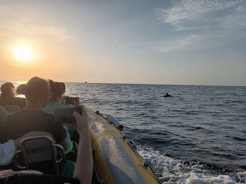 From Can Picafort: Dolphin Watching and Cave Boat Trip - Sea caves near the coast: pretty, but not an all-day cave tour