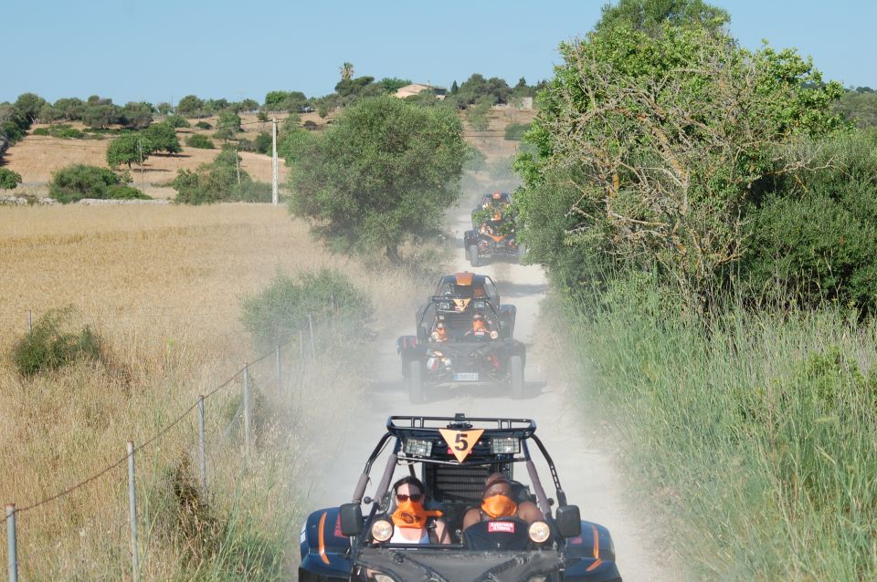 From East Mallorca: Guided Beach and Mountain Buggy Tour - Key Highlights You’ll Actually Feel