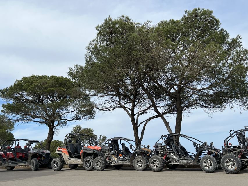 From East Mallorca: Guided Beach and Mountain Buggy Tour - Stops, Timing, and How to Make the Most of 3 Hours