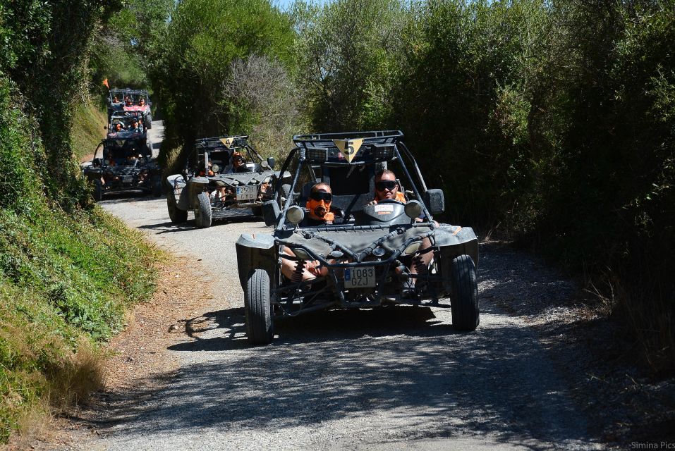 From East Mallorca: Guided Beach and Mountain Buggy Tour - Price and Value: What $219 Covers (and What It Doesn’t)