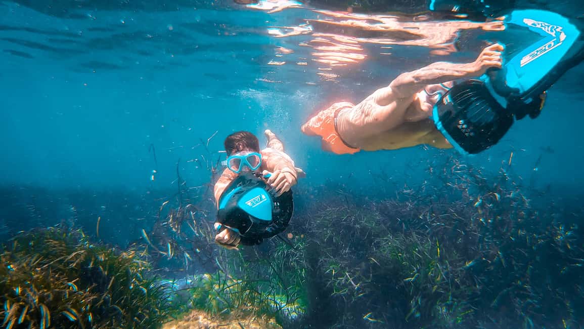 From Magaluf: Palma Bay Sightseeing Cruise with Live Music - On-board lunch buffet: Spanish omelette and the parts you’ll remember
