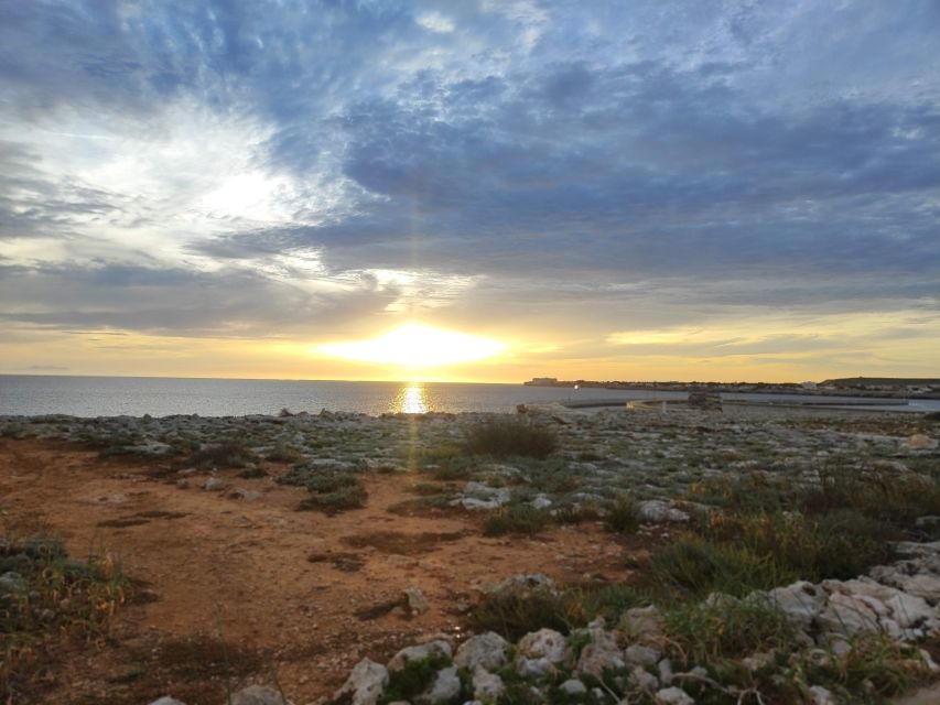 From Mallorca: Guided Day Trip to Menorca - Key highlights at a glance