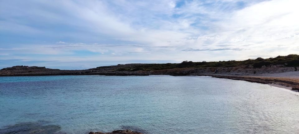 From Mallorca: Guided Day Trip to Menorca - Back to Ciutadella, then the ferry home