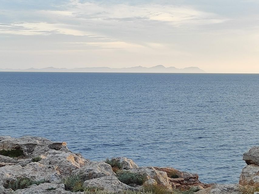 From Mallorca: Guided Day Trip to Menorca - Price and value: what $125 buys you (and what it doesn’t)
