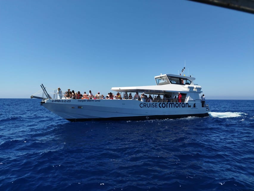 From Palma: 3-Hour Morning Dolphin Watching Boat Tour - Key points at a glance