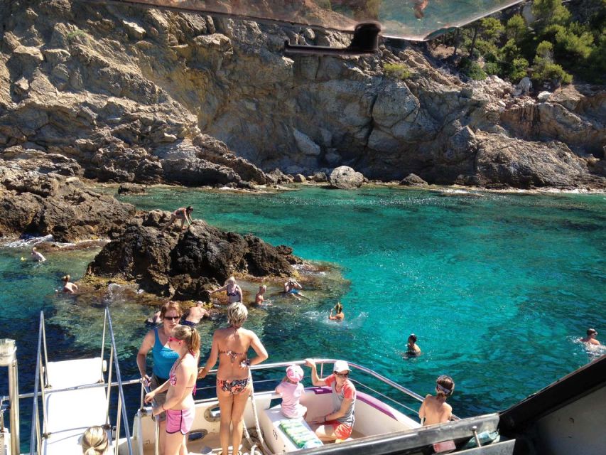 From Palma: 3-Hour Morning Dolphin Watching Boat Tour - Carpe Diem: On-Board Comfort and the Stuff You’ll Actually Use