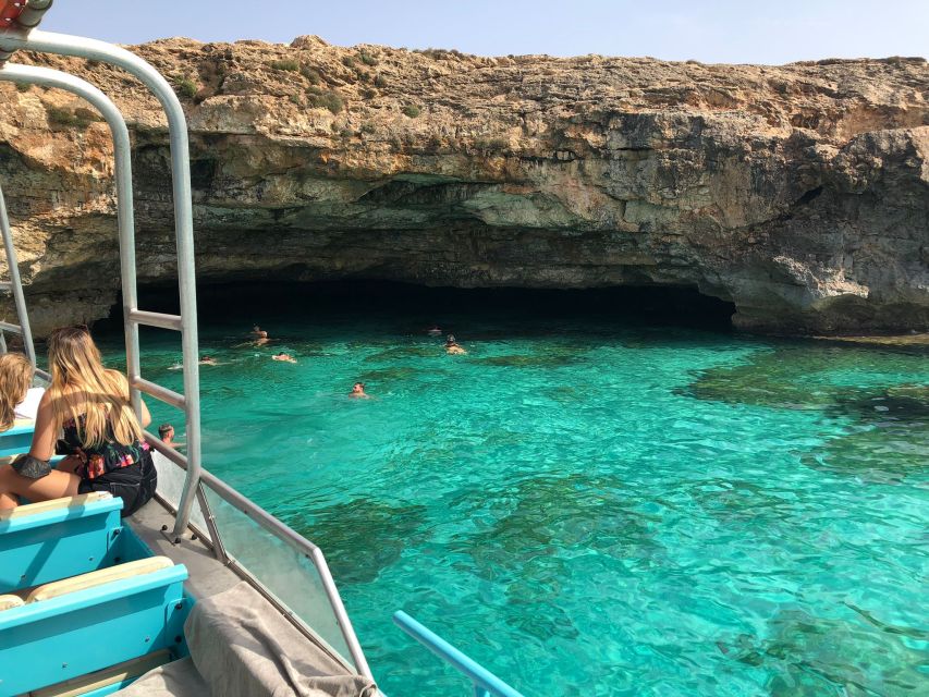 From Palma: 3-Hour Morning Dolphin Watching Boat Tour - The Dolphin Search: How the Crew Maximizes Your Chances