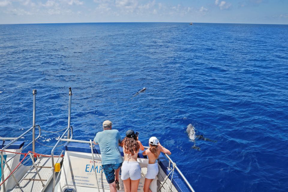 From Palma: 3-Hour Morning Dolphin Watching Boat Tour - Price and Value: Is $63 Fair for What You Get?