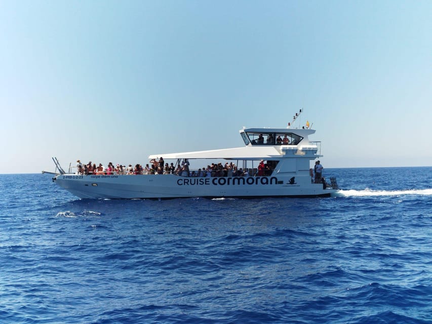 From Palma: Afternoon Dolphin-Watching Boat Tour - Quick Hits Before You Go