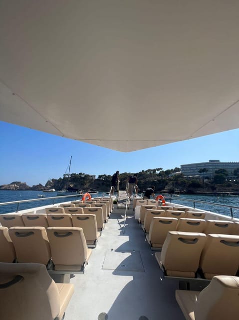 From Palma: Afternoon Dolphin-Watching Boat Tour - Who This Tour Suits Best (and Who Should Skip It)