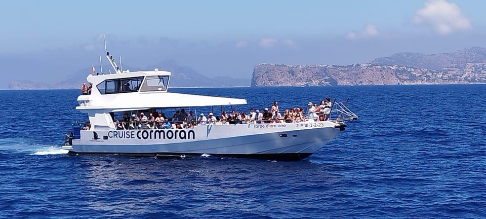 From Palma: Afternoon Dolphin-Watching Boat Tour - Searching for Dolphins in Palma Bay: The Part That Makes or Breaks the Trip