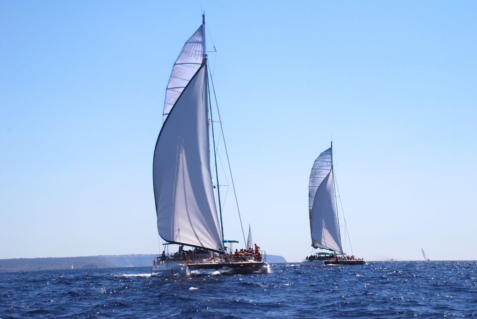 From Palma de Mallorca: Boat Cruise to Illetes - Key points before you go