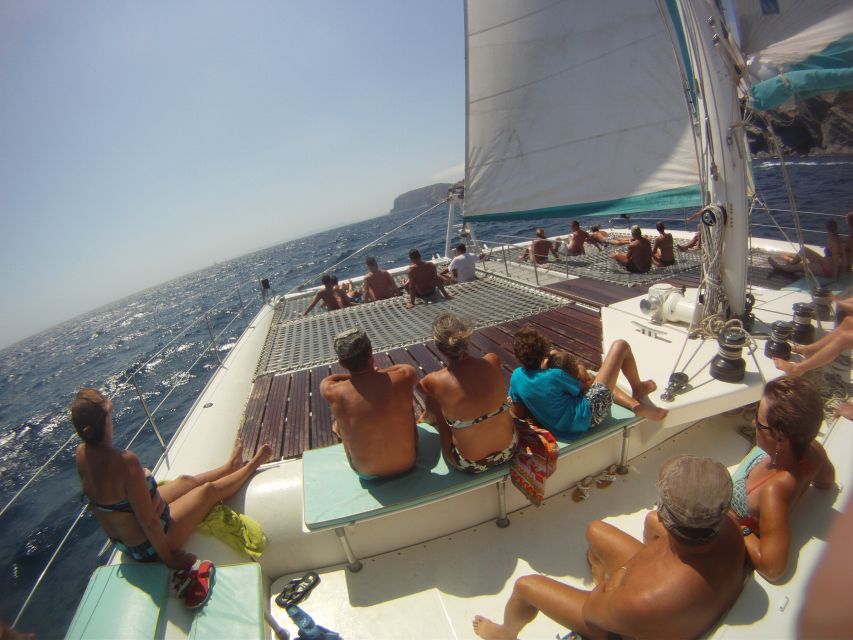 From Palma de Mallorca: Boat Cruise to Illetes - Where you start in Palma: the Auditorium de Palma pier