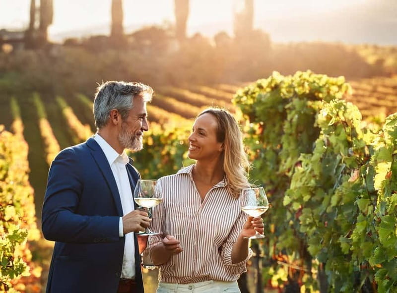 From Palma de Mallorca: Private Wine and Local Flavors Tour - The quick Palma-to-winery setup that makes this tour easy