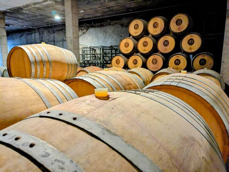 From Palma de Mallorca: Private Wine and Local Flavors Tour - Entering Mallorca’s bodega: vineyards, history, and modern winemaking gear