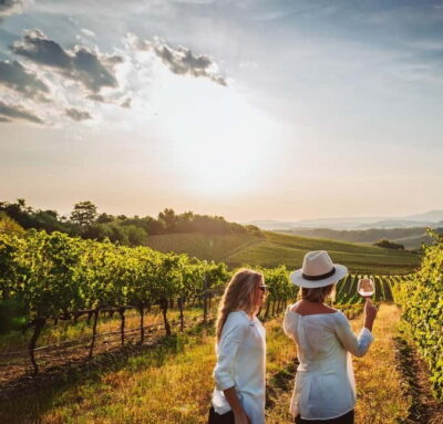 From Palma de Mallorca: Private Wine and Local Flavors Tour - The tasting that actually teaches you something: 4 wines plus local bites