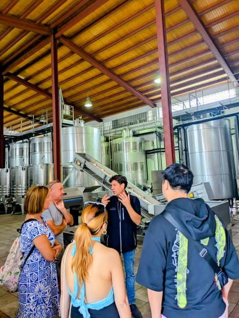 From Palma de Mallorca: Private Wine and Local Flavors Tour - Who this tour suits best (and who should skip it)