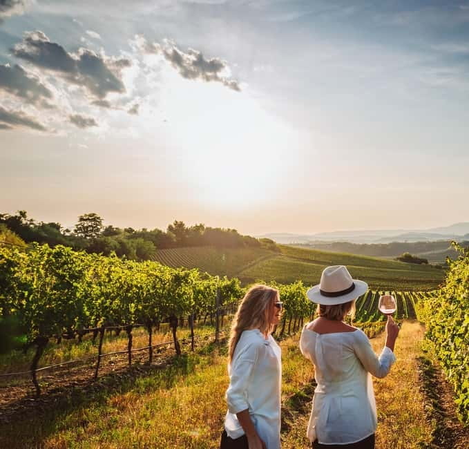 From Palma de Mallorca: Private Wine and Local Flavors Tour - The tasting that actually teaches you something: 4 wines plus local bites