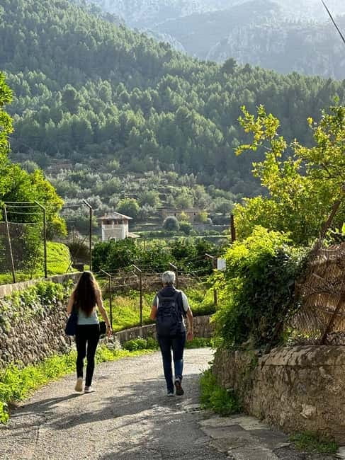 From Palma: Sierra de Tramuntana Hiking with small Picnic - Key things to look for before you go