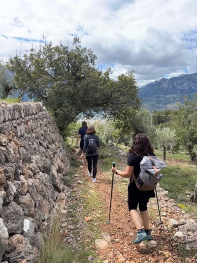 From Palma: Sierra de Tramuntana Hiking with small Picnic - Walking GR221 on dry-stone trails without the hassle