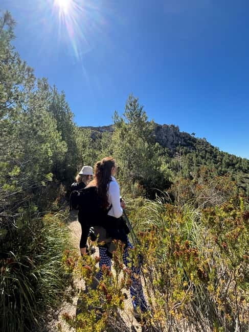 From Palma: Sierra de Tramuntana Hiking with small Picnic - Two hours in: the picnic break with mountain views