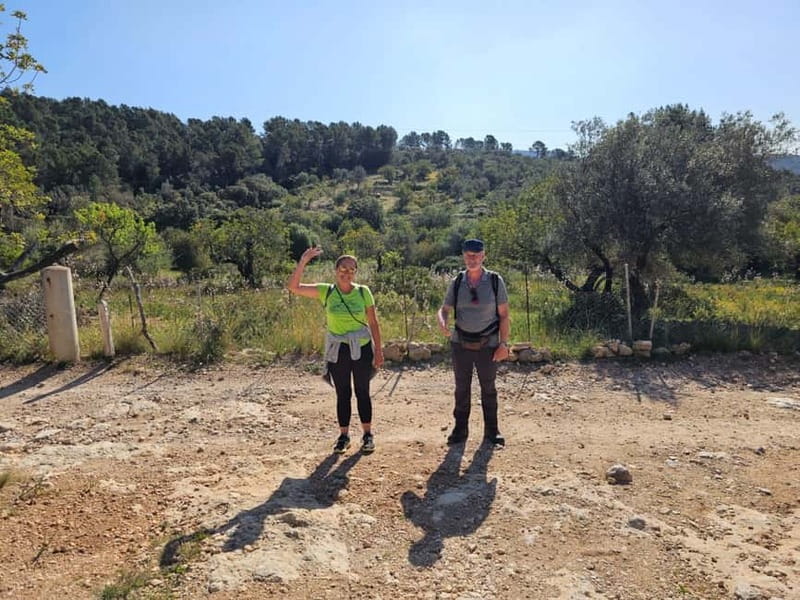 From Palma: Sierra de Tramuntana Hiking with small Picnic - Heat and trail flexibility: choosing lighter routes and possible swims