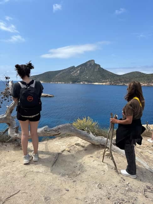 From Palma: Sierra de Tramuntana Hiking with small Picnic - Shoes, safety, and who this pace is for