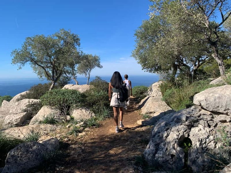 From Palma: Valldemossa Tour and Mountain Viewpoint Hike - Key highlights to know before you go