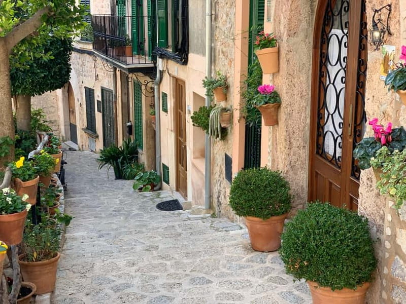 From Palma: Valldemossa Tour and Mountain Viewpoint Hike - Price and Value: Why $105 Can Be Worth It Here