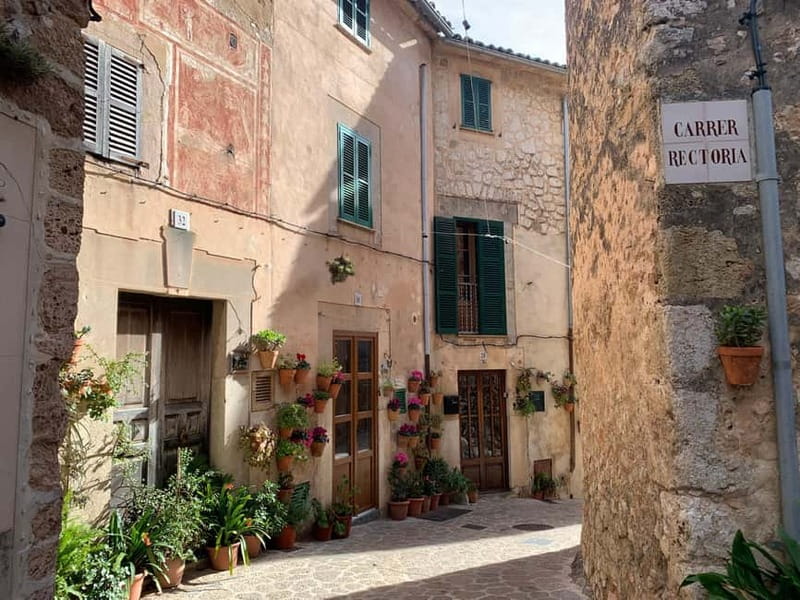 From Palma: Valldemossa Tour and Mountain Viewpoint Hike - Who This Tour Is Best For (and Who Might Want Something Else)