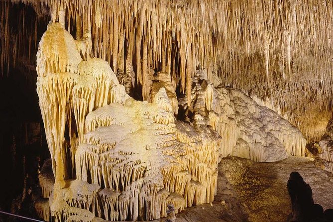Full-Day Mallorca Caves Tour: Drach, Hams & Pearl Factory Visit - Price and logistics: what you’re paying for at $94.91