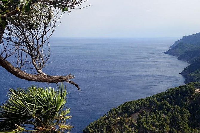 Full-Day Mallorca Caves Tour: Drach, Hams & Pearl Factory Visit - Who should book this Mallorca caves day?