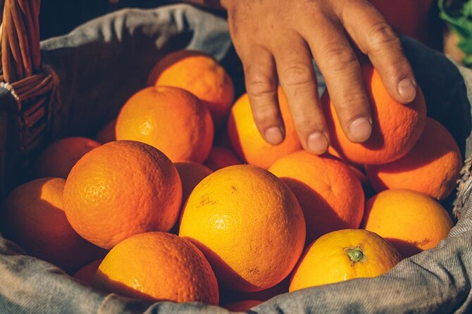 Guided Tasting Tour in 16th century House and Olive Oil Factory - Finding the place: meeting point, parking, and timing reality