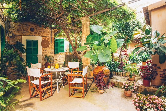 Guided Tasting Tour in 16th century House and Olive Oil Factory - Price of $31.46: what you’re really paying for
